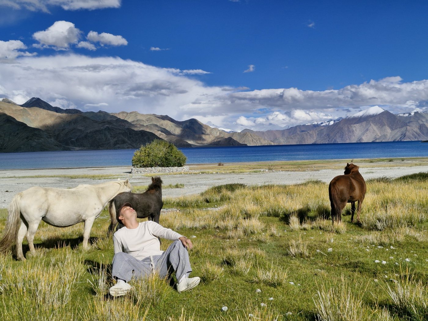 Ladakh Land Tour — 8 Nights / 9 Days